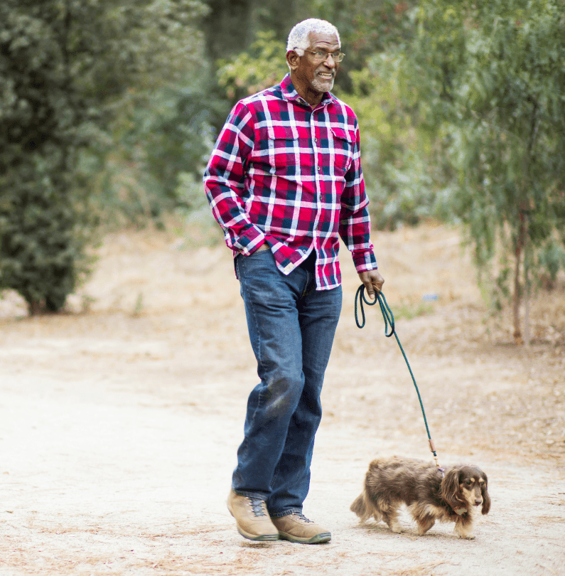 Senior man walking dog